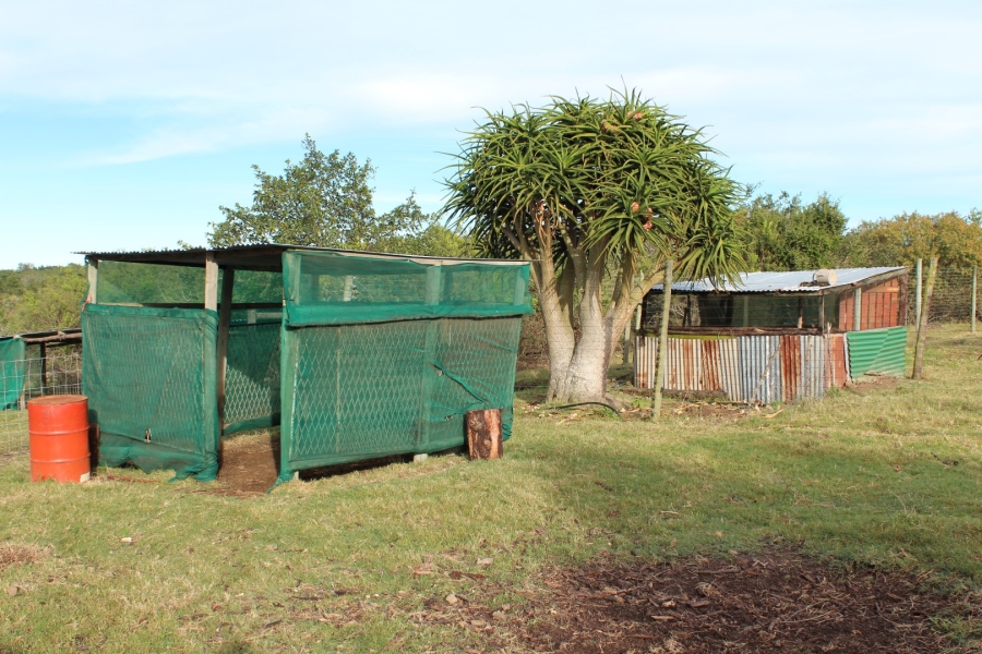 1 Bedroom Property for Sale in Bathurst Rural Eastern Cape